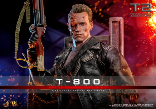 T800SS01